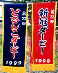 地方競馬イベントレースのレイ