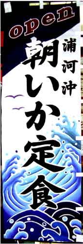 朝イカの幟