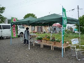 画像の説明