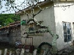 画像の説明