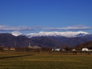 牧場と日高山脈