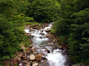 日高幌別川の上流部